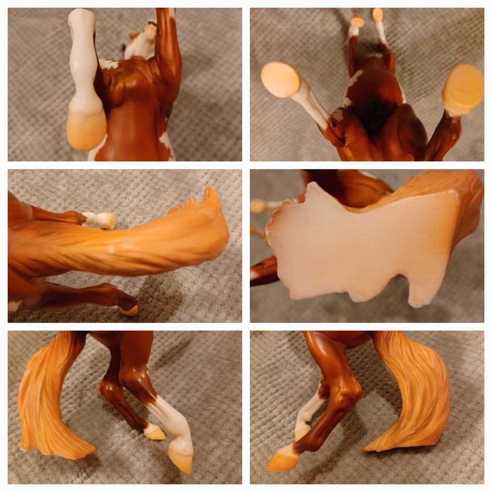 Breyer Hidalgo - Picture 15 of 16